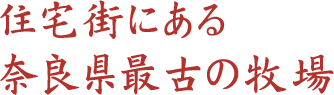 ZXɂޗǌŌÂ̖q