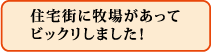 住宅街に牧場があってビックリしました!