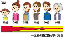 どうして「動脈硬化」になるの?
