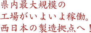 őK͂̍Hꂪ悢ғB
{̐_ցI