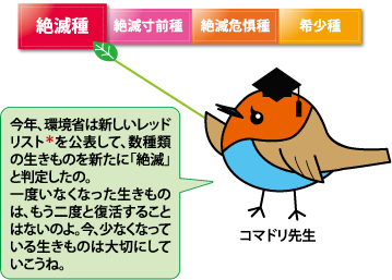 コマドリ先生
