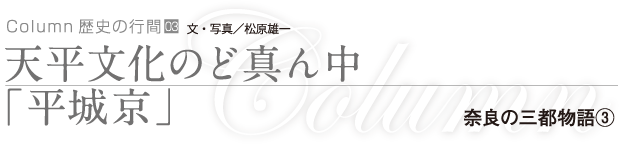 天平文化のど真ん中「平城京」