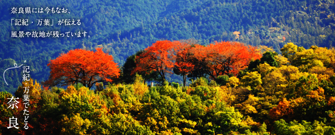 奈良には今もなお、「記紀・万葉」が伝える風景や故地が残っています。