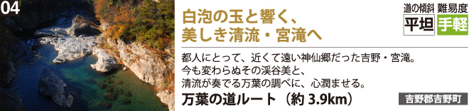 白泡の玉と響く、美しき清流・宮滝へ