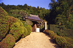 船宿寺(せんしゅくじ)