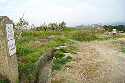 葛城高原