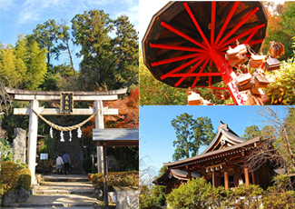 飛鳥坐神社