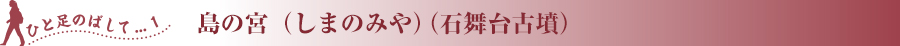 島の宮（しまのみや）（石舞台古墳）