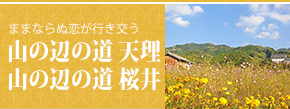 ままならぬ恋が行き交う　山の辺の道 桜井、天理