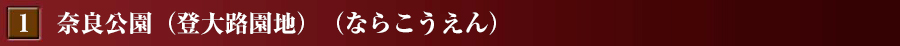 奈良公園（登大路園地）