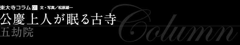 守り神がとどまりし薬園の地