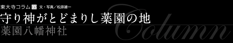 守り神がとどまりし薬園の地