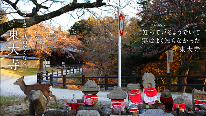 知っているようでいて実はよく知らなかった東大寺