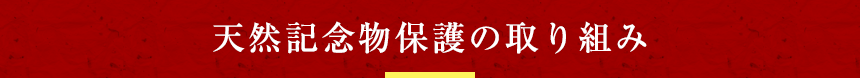 天然記念物保護の取り組み