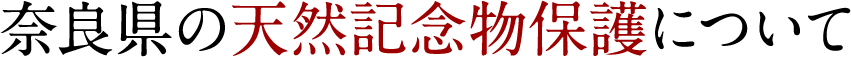 奈良県の天然記念物保護について