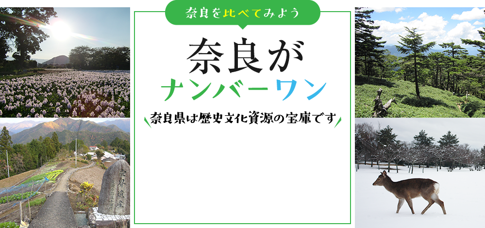 奈良を比べてみよう