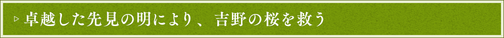 卓越した先見の明により、吉野の桜を救う