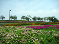 馬見花苑の様子