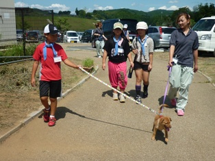 犬トレーニング中