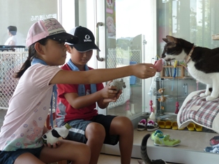 猫ふれあい中