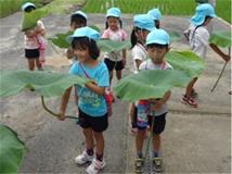 筒井幼稚園3