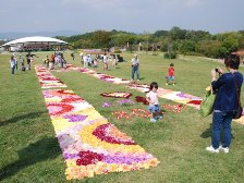 ダリア花じゅうたん