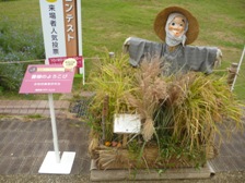 花壇コンテスト　馬見丘陵公園賞作品