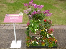 花壇コンテスト人気投票　馬見丘陵公園賞作品