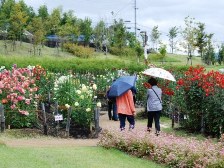 ダリア園