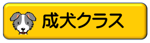 成犬クラス