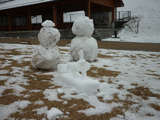 2月8日の雪です。