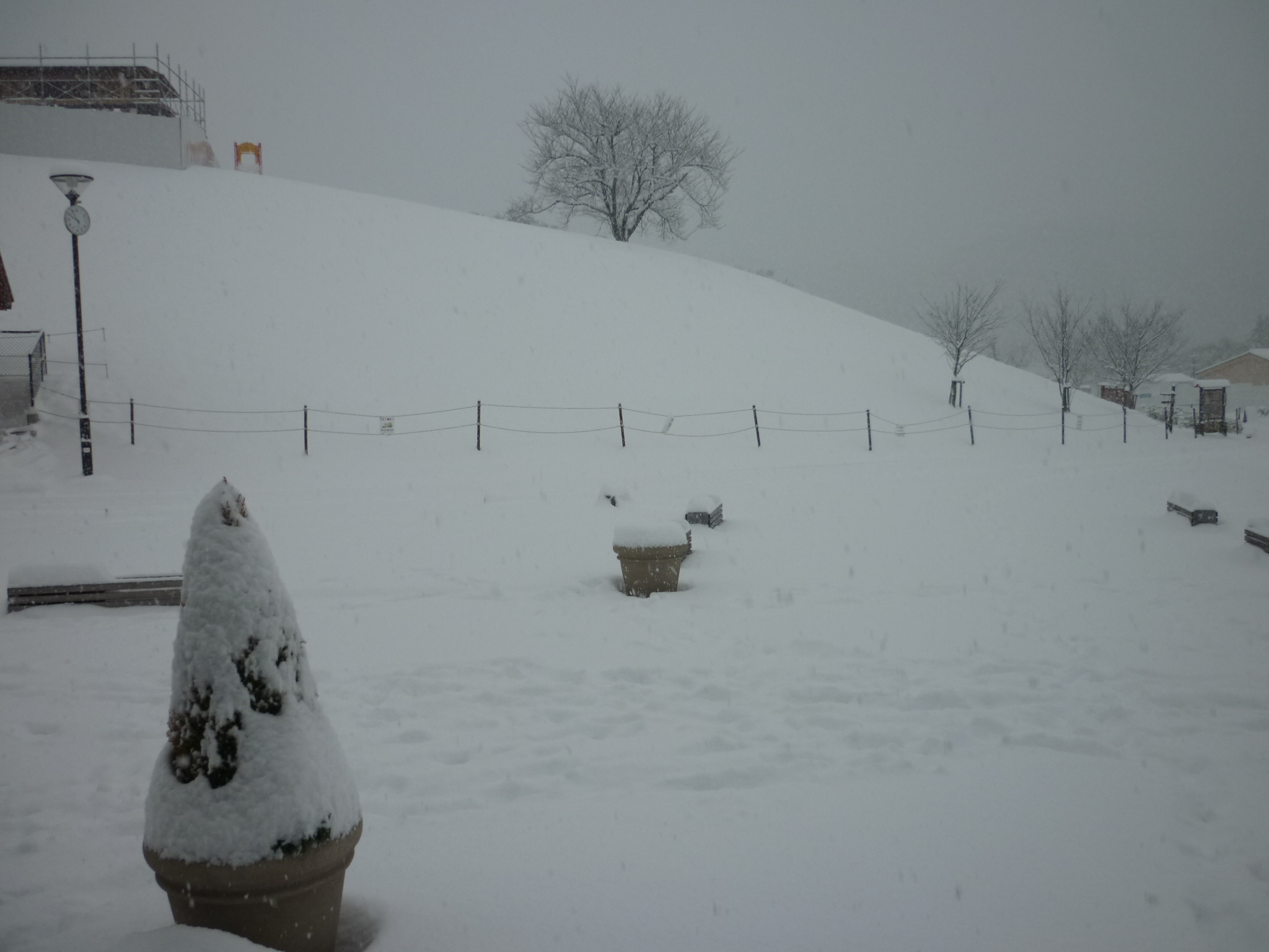 大雪警報発令されました。