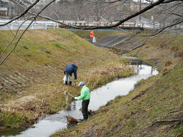 秋篠川