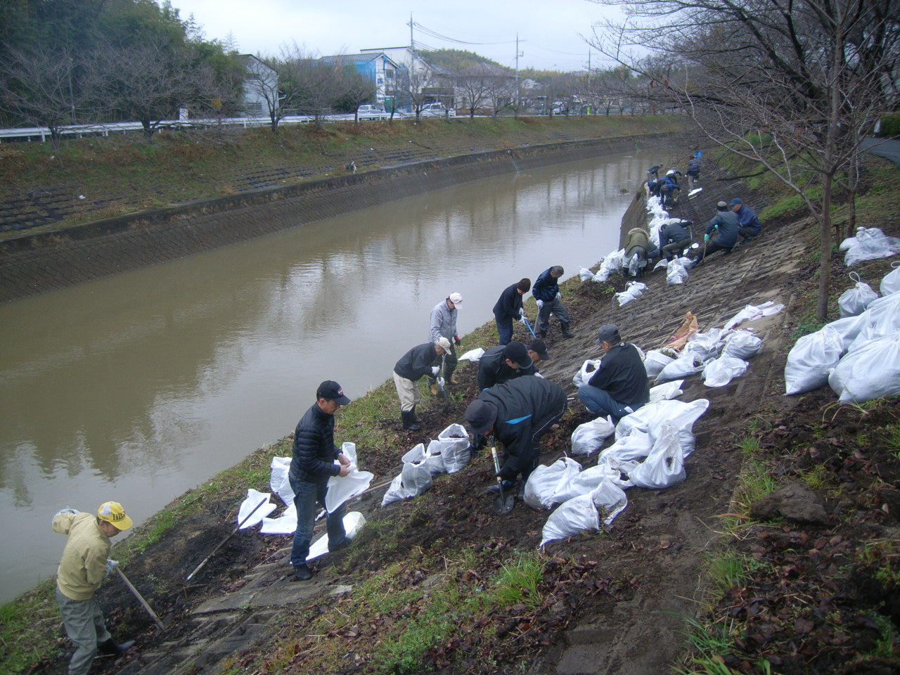 橿原市　曽我川