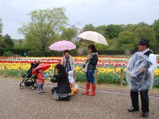 今日はバルーアートの大道芸です