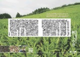 花みょうが