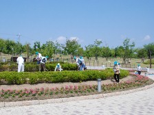 花緑ボランティアさんによる植え付け