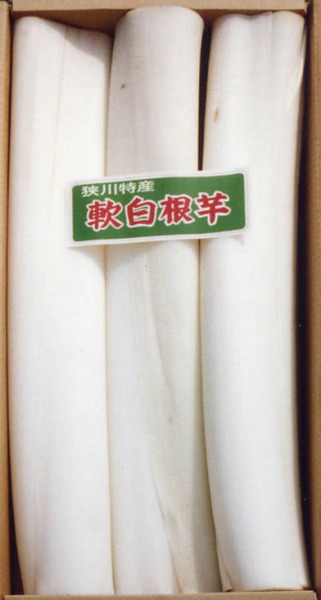 写真：軟白ずいき