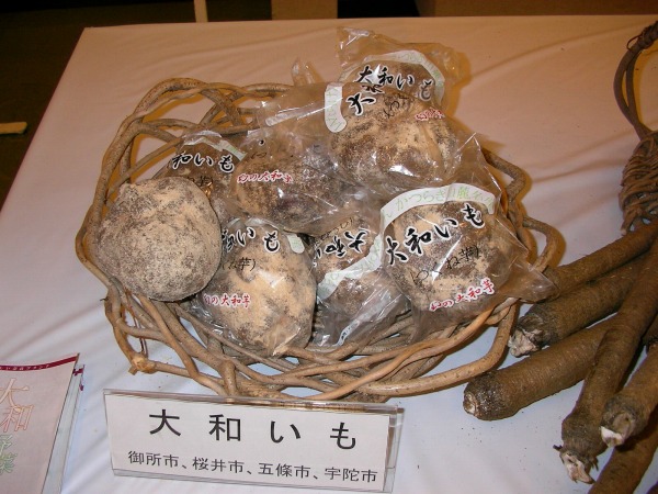 大和いも写真02/奈良県公式ホームページ