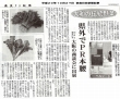 大和の伝統野菜県外でPR本腰
