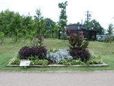 県民協働花壇