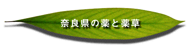 奈良県の薬と薬草