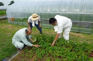 農家での実習の様子