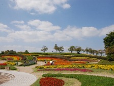 馬見花苑と花の広場