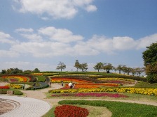 馬見花苑と花の広場