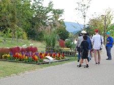 県民協働花壇