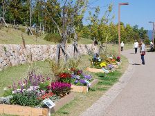 花サポーター出展花壇