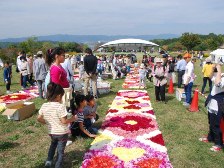 ダリア花じゅうたん