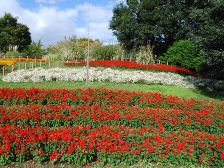 花の道のお花畑