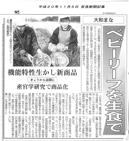 大和まな ベビーリーフを生食で